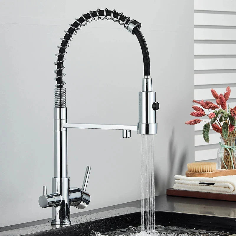 Black Filtered Kitchen Water Filter Kitchen Dual Spout Filter Faucet