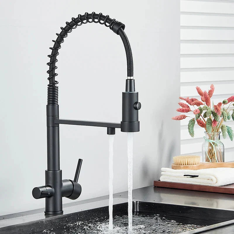 Black Filtered Kitchen Water Filter Kitchen Dual Spout Filter Faucet
