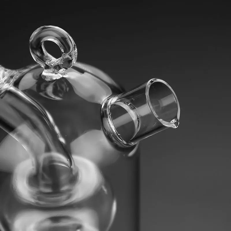 Double Glass Oiler Dual-purpose Glass Bottle Condiment Bottle