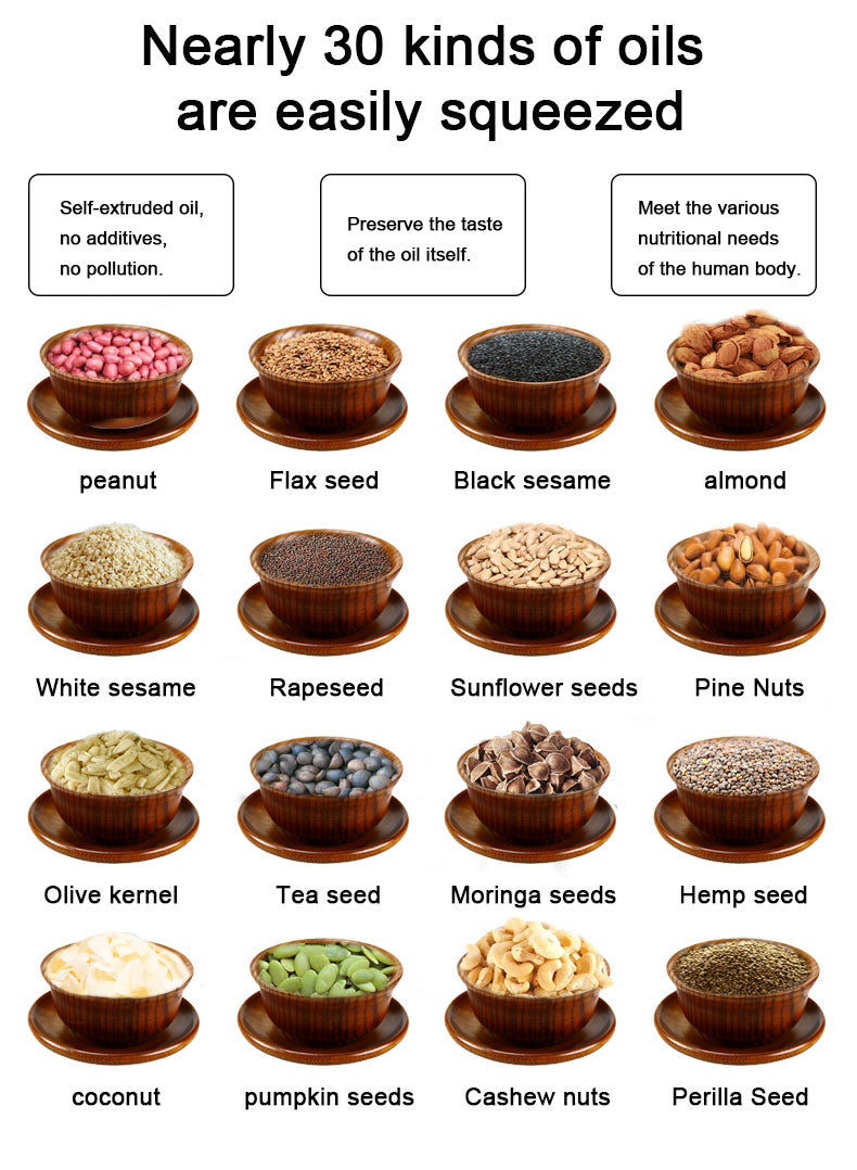 Oil Press Machine Automatic Cold Press Commercial Oil Extractor