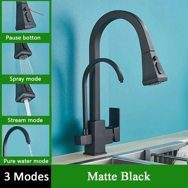 Pull Out Sprayer Sink Faucet Two Spout Double Handle Kitchen Tap