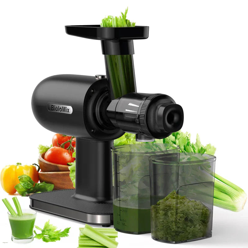 Slow Masticating Juicer Machine with Reverse Function Cold Press Juicer
