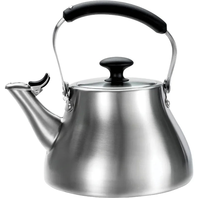 Stainless Steel Heat-Resistant Tea Kettle with Silicone Touchpoints