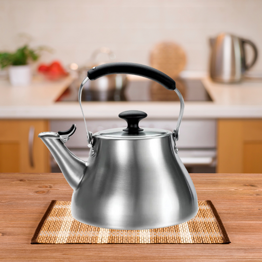 Stainless Steel Heat-Resistant Tea Kettle with Silicone Touchpoints