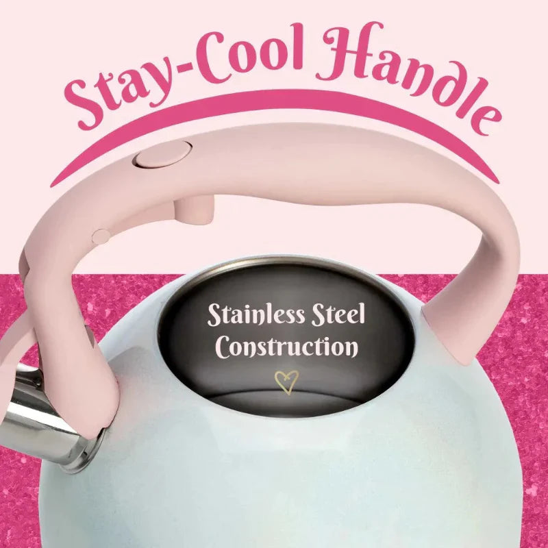 Stainless Steel Whistling Spout Tea Kettle Kitchen Stovetop Kettle